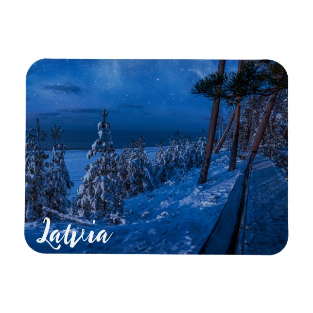 Forest path at winter night magnet (Horizontal)