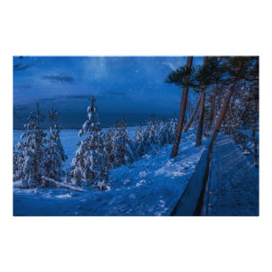 Forest path at winter night photo print