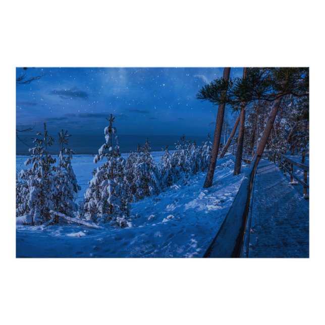 Forest path at winter night photo print (Front)
