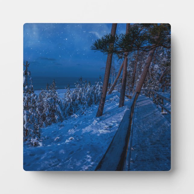 Forest path at winter night plaque (Front)