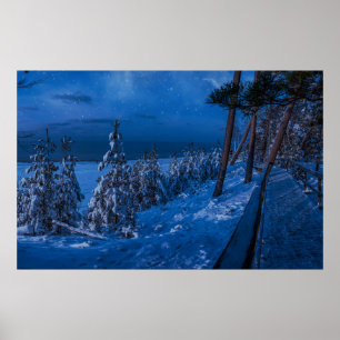 Forest path at winter night poster