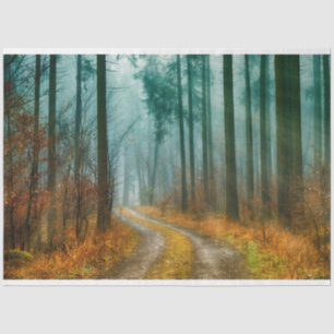 Forest Path Autumn 13 Decoupage Tissue Paper