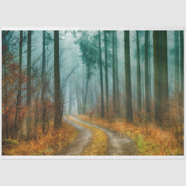 Forest Path Autumn 13 Decoupage Tissue Paper (Front)