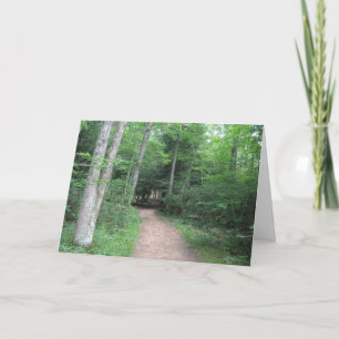 Forest Path Greeting Card