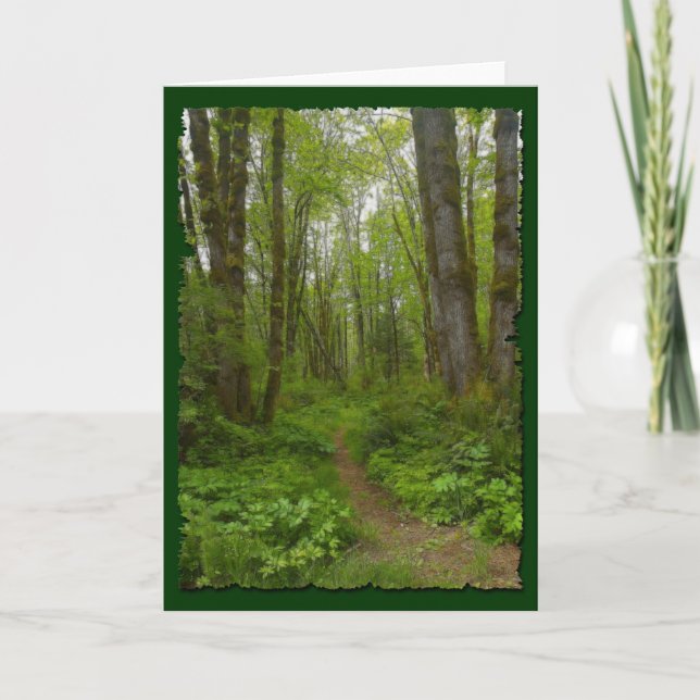 FOREST PATH Greeting-Card Gift Collection Card (Front)
