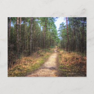Forest Path HDR Art postcard