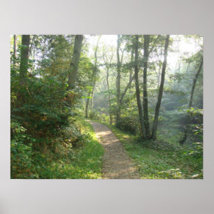 Forest Path in Denmark Poster