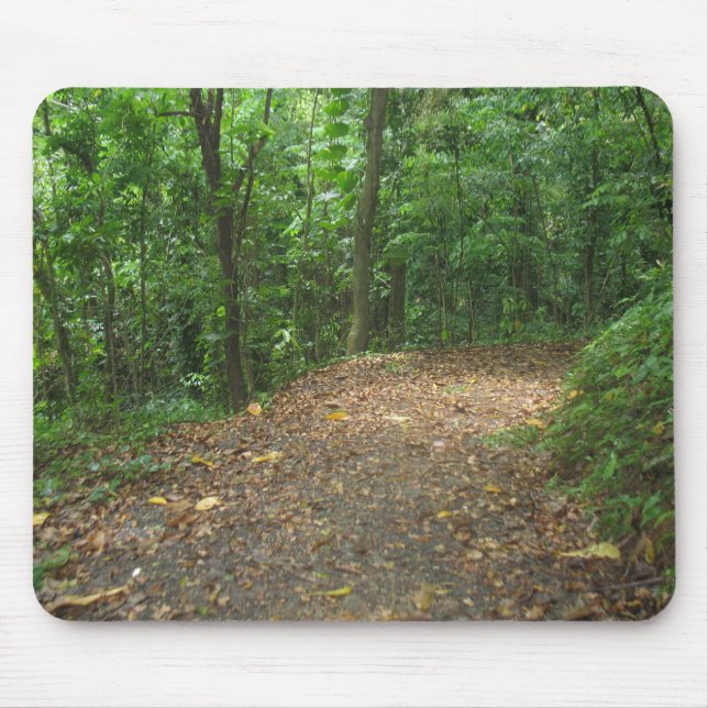 Forest Path Mousepad (Front)