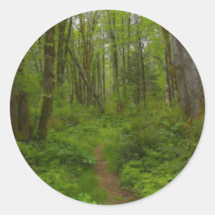 FOREST PATH Nature Scene Stickers