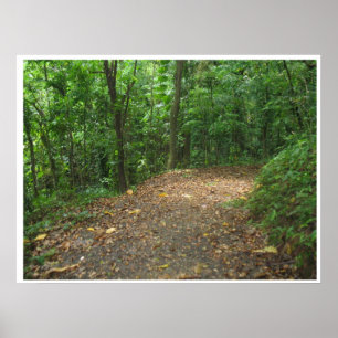 Forest Path Poster