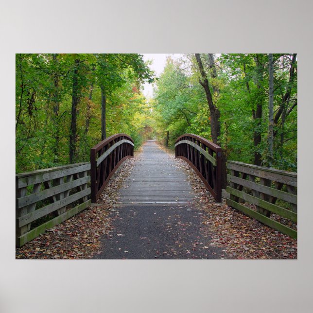 Forest Path Print (Front)