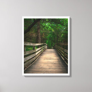 Forest Path Serenity Canvas Print
