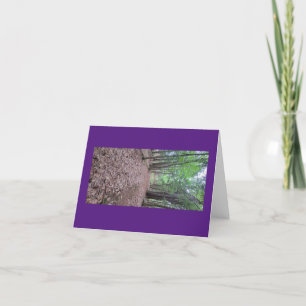 Forest Path Thank You Card