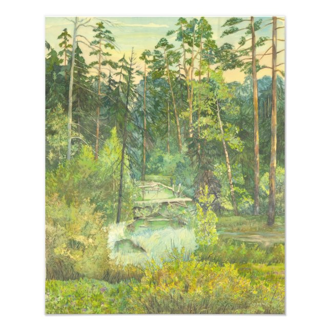 forest photo print (Front)