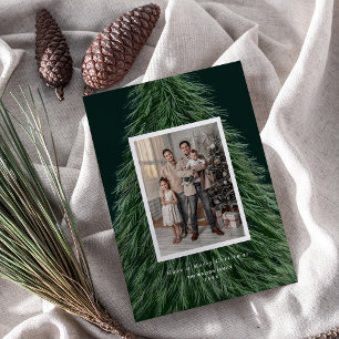 Forest Pine Tree Christmas Holiday Photo Card