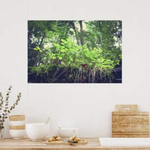 Forest Plants Green Nature Trees 36" x 24" Poster