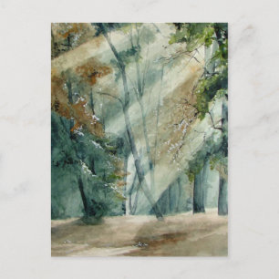 forest postcard