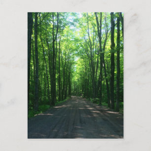 forest postcard
