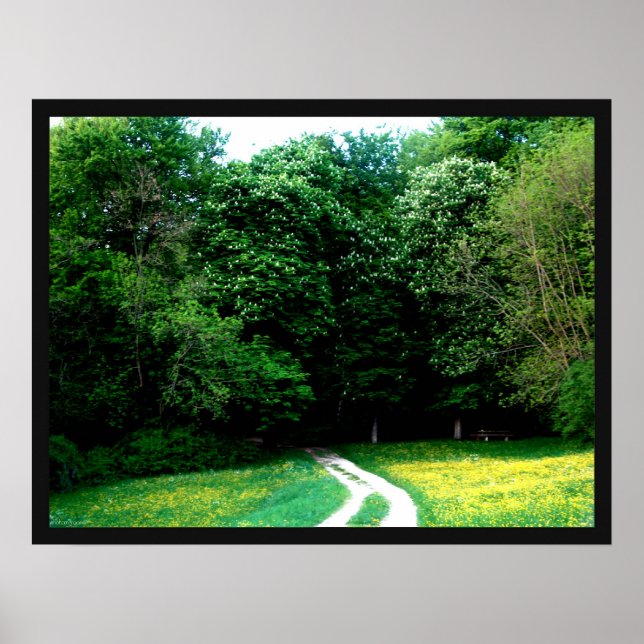 Forest Poster (Front)