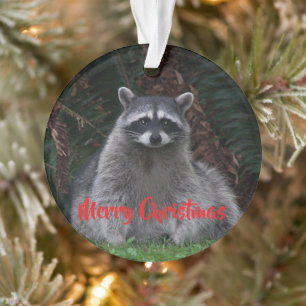 Forest Raccoon Holiday Acrylic Ornament