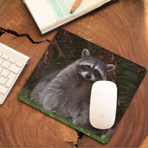 Forest Raccoon Photo Mouse Pad