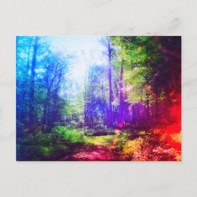FOREST RAINBOW POSTCARD (Front)