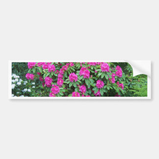 Forest Rhododendron Bumper Sticker