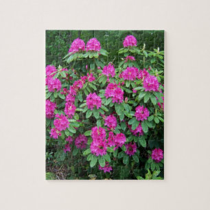Forest Rhododendron Jigsaw Puzzle