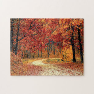 Forest Road - Fall - Beautiful Autumn Jigsaw Puzzle