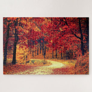 Forest Road - Fall - Beautiful Jigsaw Puzzle