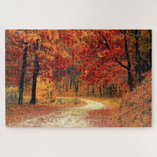 Forest Road - Fall - Beautiful - Jigsaw Puzzle