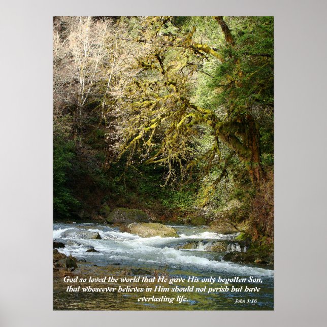 Forest & Rushing River John 3:16 Print (Front)