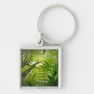 Forest scene in Acadia National Park, Maine. Keychain