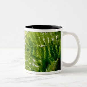 Forest scene in Acadia National Park, Maine. Two-Tone Coffee Mug