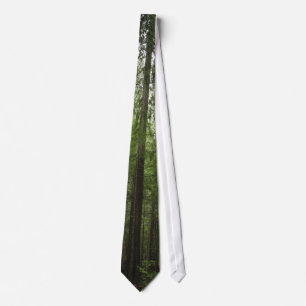 FOREST SCENERY Tie Series