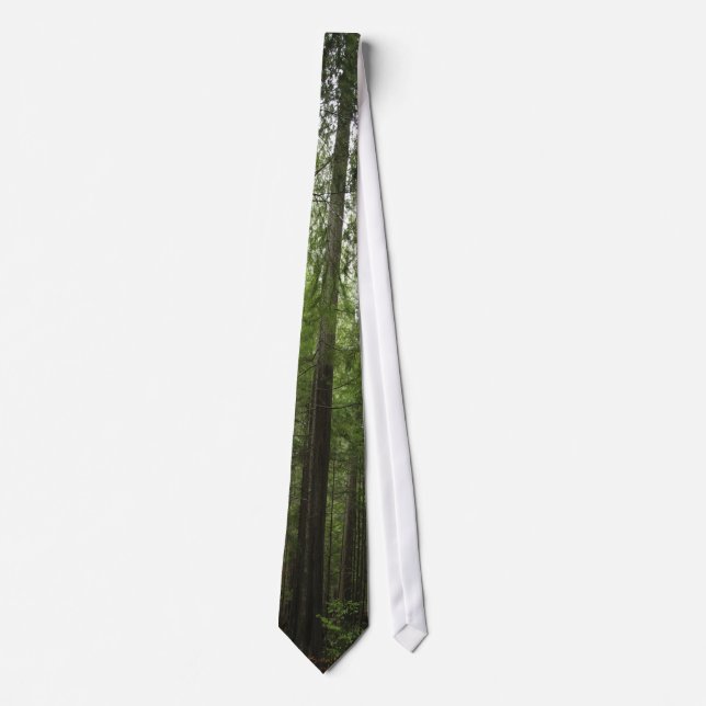 FOREST SCENERY Tie Series (Front)