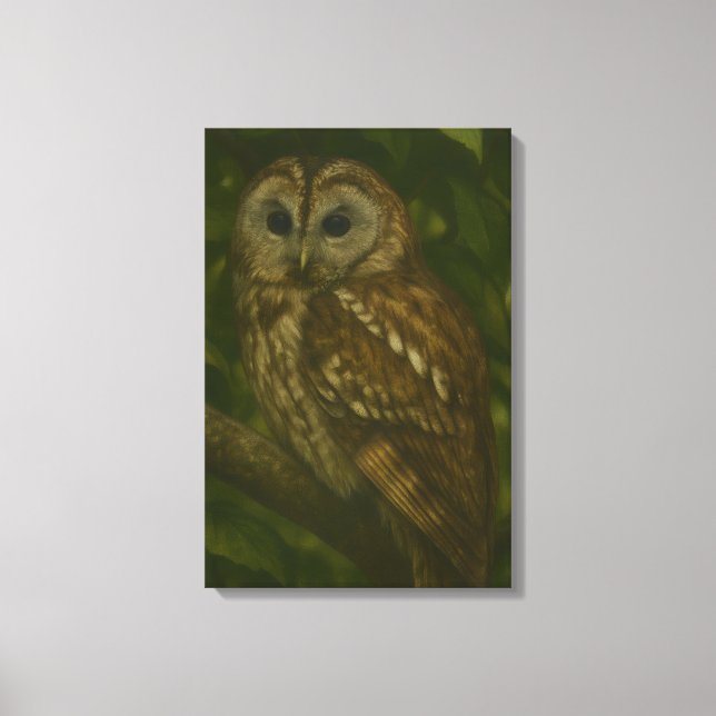 Forest Sentinel – Tawny Owl Wildlife Art Canvas Print (Front)