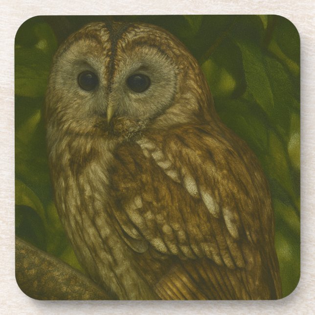 Forest Sentinel – Tawny Owl Wildlife Art Coaster (Front)
