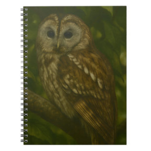 Forest Sentinel – Tawny Owl Wildlife Art Notebook