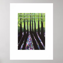 Forest Shadows