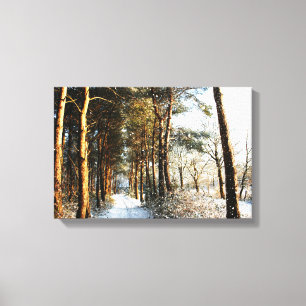 Forest Snow Scene 16.50x11 (41.25x27.5cm) waccn Canvas Print
