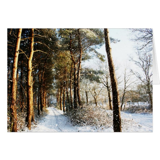 Forest Snow Scene gccna (Front Horizontal)