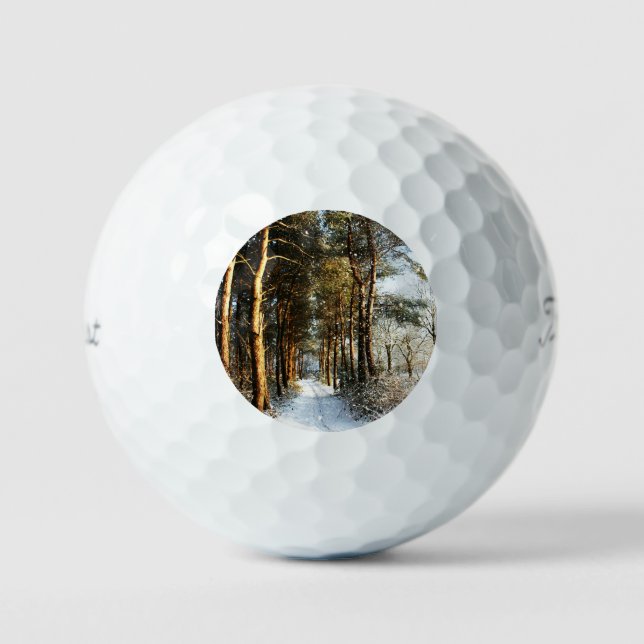 Forest Snow Scene tpv1 gbcnm Golf Balls (Front)
