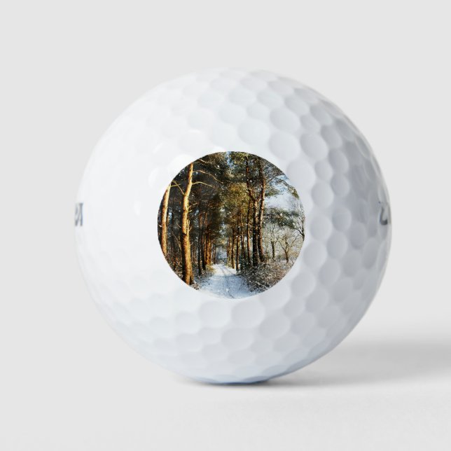 Forest Snow Scene wu gbcna Golf Balls (Front)