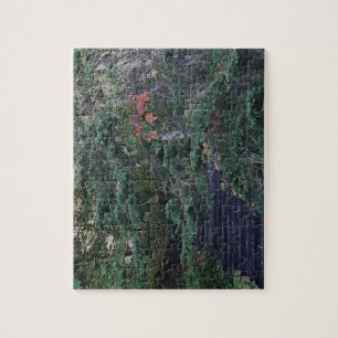 Forest Steps in Early Autumn Jigsaw Puzzle