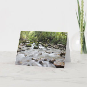 Forest Stream blank greeting card