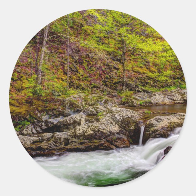 Forest Stream In Great Smoky Mountains Classic Round Sticker (Front)