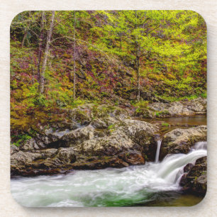 Forest Stream In Great Smoky Mountains Coaster