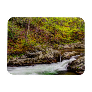 Forest Stream In Great Smoky Mountains Magnet