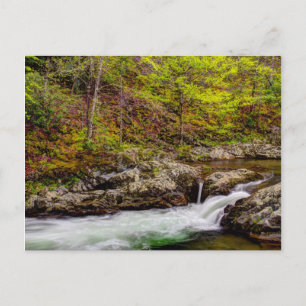 Forest Stream In Great Smoky Mountains Postcard